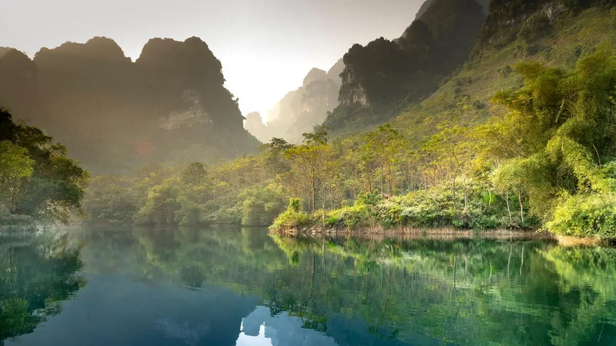 精密高性能